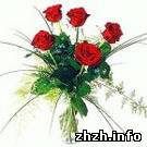 Экономика: К 1 сентября розы в Житомире могут стоить по 80 гривен за штуку