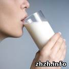 Житомирские агрофирмы уменьшили надои молока