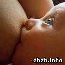 В Житомирской области выросла рождаемость