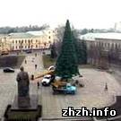 Город: Сегодня в Житомире начали устанавливать Новогоднюю елку