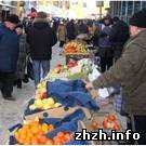 Экономика: В связи с праздниками, продавцы житомирских рынков подняли цены на продукты