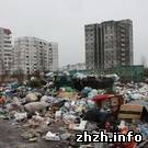 В Житомире в микрорайоне «Крошня» уже больше месяца не вывозят мусор