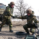 Война в Украине: Под Житомиром военное руководство проверяло подготовку солдат