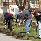 Город: Активисты интернет-форума озеленили сквер в центре Житомира. ФОТО