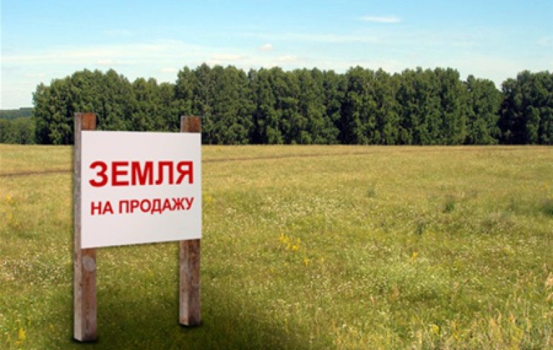 Ситуация на рынке земли в Украине: что будет после отмены моратория
