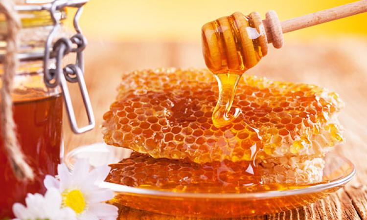 Где полезно использовать мед?