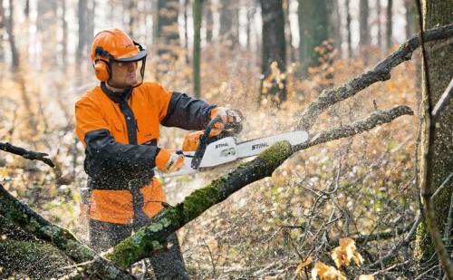 Полезные советы: как грамотно выбрать бензопилу